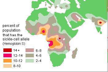 Mapa Porcentaje de la población con el alelo falciforme
