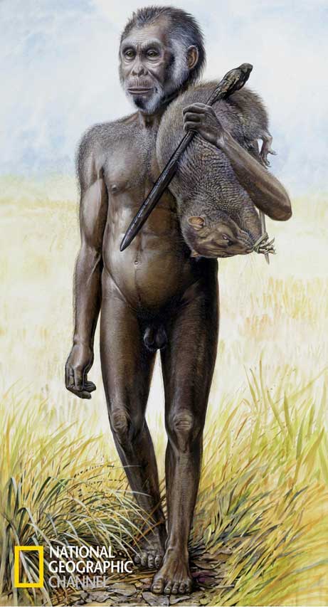 ”Homo_floresiensis”